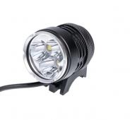 12584ae936b7a448291782ea1a2bb50a