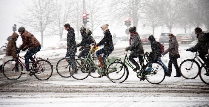 Купить зимние велопокрышки winter1.jpg