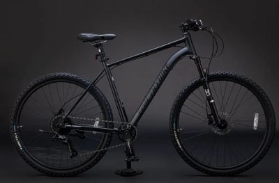 Велосипед TimeTry TT240 29" черный (2024) 21" TimeTry TT240