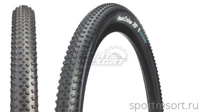 Покрышка Arisun Mount Graham RSD TLR 29x2.20 
