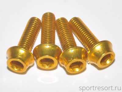 Болты Token TK-B516 Gold M5x16 мм (4 шт)