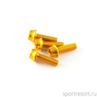 Набор болтов a2z M5x16 mm Gold (4 шт)