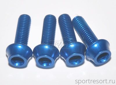 Болты Token TK-B516 Blue M5x16 мм (4 шт)