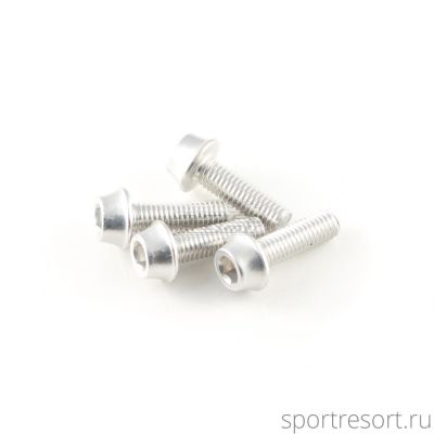 Набор болтов a2z M5x16 mm Silver (4 шт)
