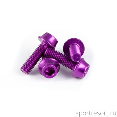 Набор болтов a2z M5x16 mm Purple (4 шт)