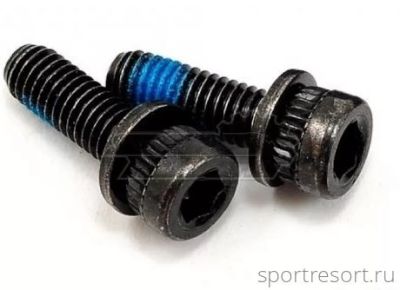 Болты для установки тормозного адаптера или калипера 2шт.