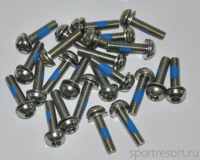 Болт M6х25 мм для тормозов V-Brake