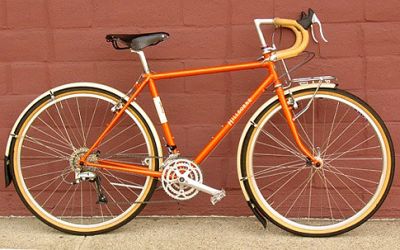 Крылья SKS Longboard 45mm (28") Latte Macchiato 10437