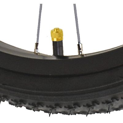 Ниппельный колпачок M-Wave Valve Cap Flat A/V (1 шт) случайный цвет