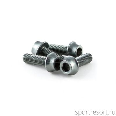 Набор болтов a2z M5x16 mm Gray (4 шт)