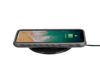 Чехол для смартфона TOPEAK RideCase W/MOUNT for iPhone X/XS TT9855BG