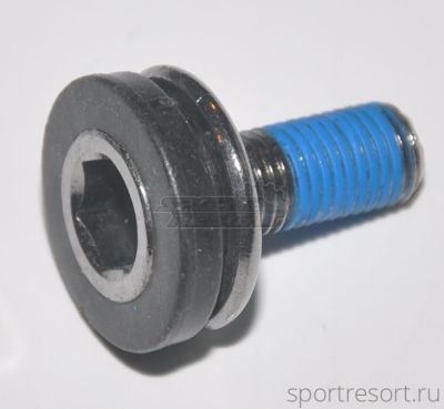 Болт вала каретки М8х1 (под шестигранник)