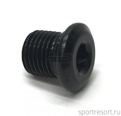 Болт заглушка М10х1.0