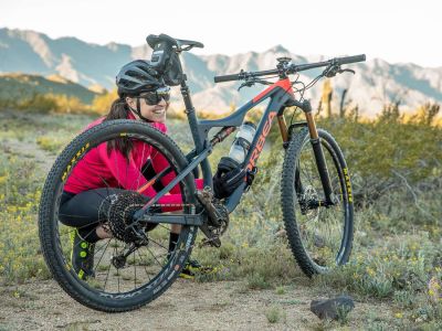 Велосумка на раму TOPEAK NINJA MOUNTAINBOX TNJM-MB